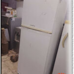 Electrostar 16 foot refrigerator 1/6 HP compressor 125W top freezer Mbsmgroup