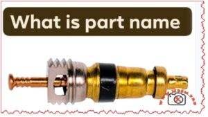 The Value of Correct Identification mbsmpro