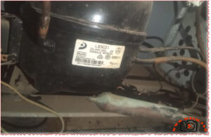 Donper L65CZ1 Compressor Specs and Replacements