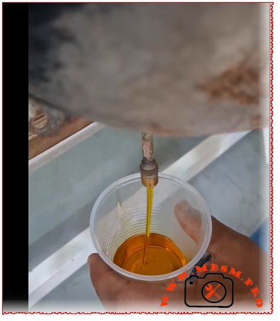 1/5 HP Compressor oil change: How much and how to do it right mbsmpro