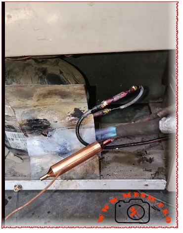 Changing Filter 1/5 Hp mbsmpro