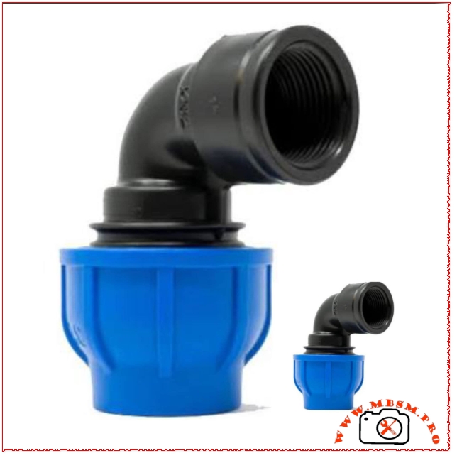 mbsmpro-picture-coude-taraud-bargataire-32-femelle-20-1 mbsmpro