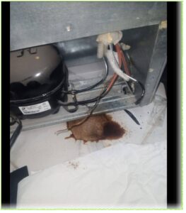 The refrigerator has a problem,  it works for a minute and then shuts off